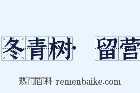 冬青树·留营是什么意思的图片